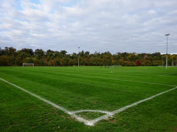 Centre Sportif de Vessy terrain 5 (ancien) - Veyrier