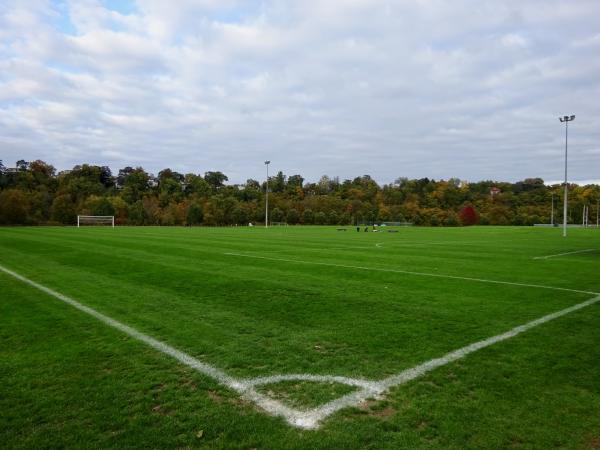 Centre Sportif de Vessy terrain D - Veyrier