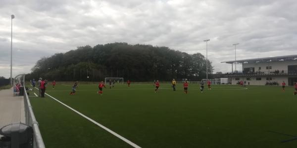 Stade Georges Wohlfart terrain annexe - Parc Hosingen