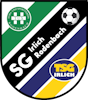 Wappen SG Rodenbach/Irlich II (Ground A)