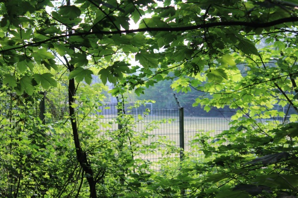 Sportplatz am Elektroschmelzwerk - Frechen-Grefrath