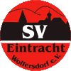 Wappen Eintracht Wolfersdorf 1996  91899