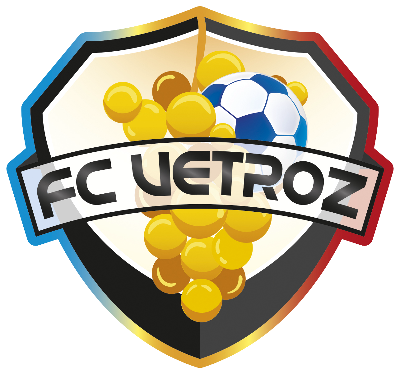 Wappen FC Vétroz  38800