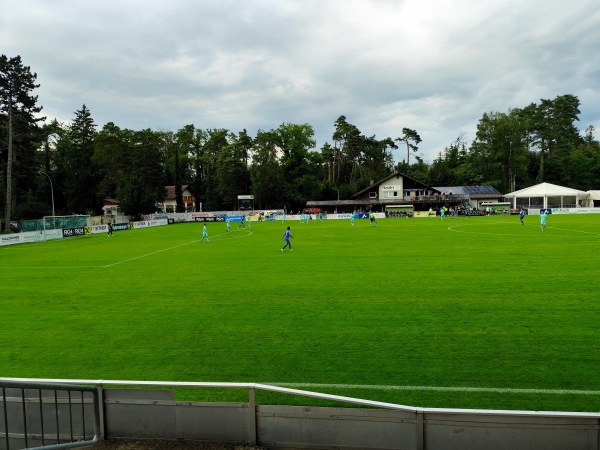 Waldstadion Hard - Hard