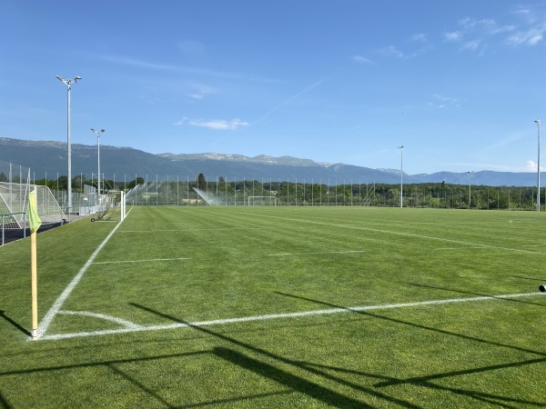 Stade des Arbères terrain D - Meyrin
