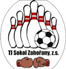 Wappen TJ Sokol Zahořany  114147