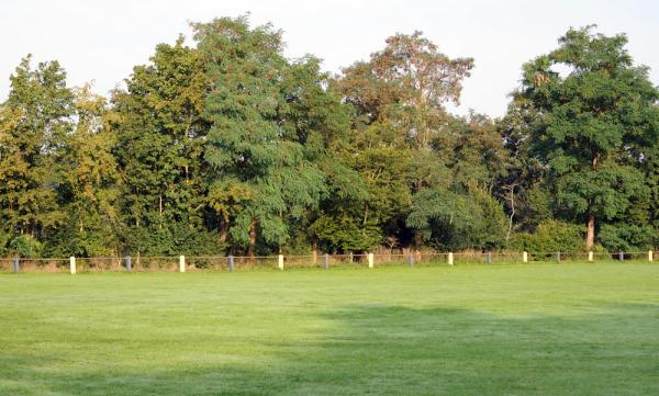 Sportplatz Ellerbrock - Friesoythe-Ellerbrock