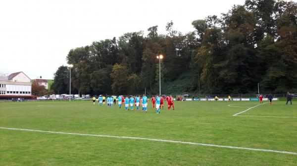 Sportplatz Heusser-Staub-Wiese - Uster