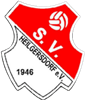 Wappen SV Heilgersdorf 1946  51216