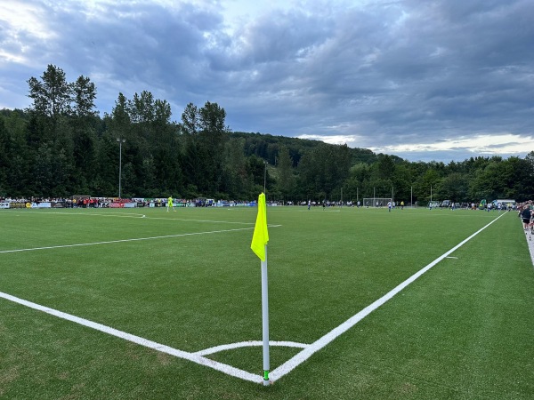 Sportplatz an der Schule - Atzelgift
