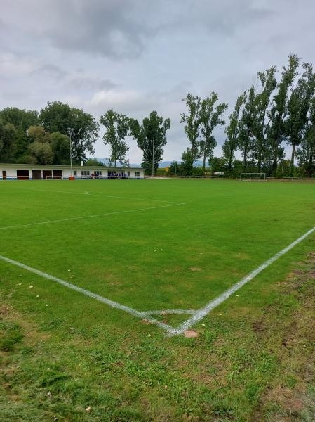 Sportplatz am Schloßgraben - Neustadt/Weinstraße-Duttweiler