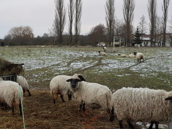 EOS-Platz - Strasburg/Uckermark