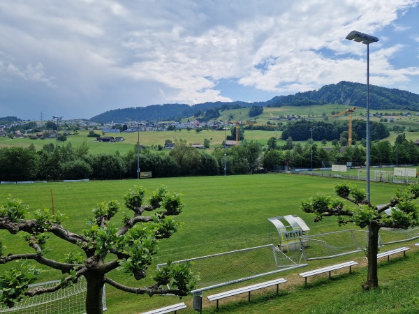 Sportplatz Erlenmoos Platz 2 - Wollerau