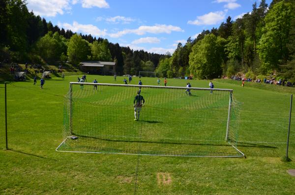 Sportplatz am Wald - Werra-Suhl-Tal-Gospenroda