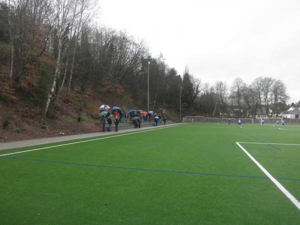 Ferraro-Sportarena - Neunkirchen/Saar