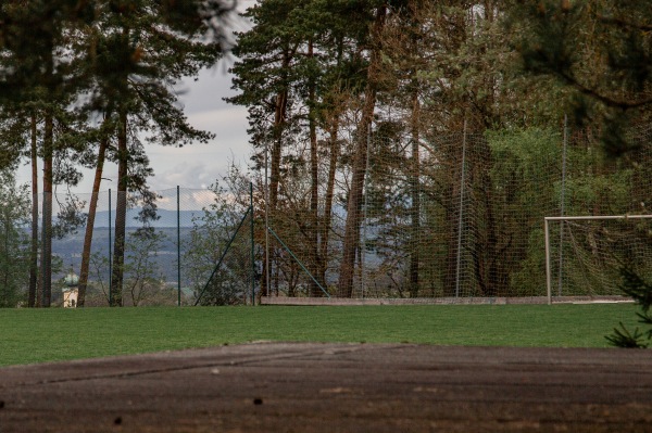 Sportanlage Am Hahnenkamm Platz 2 - Edelsfeld