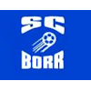 Wappen ehemals SC Borr 1985