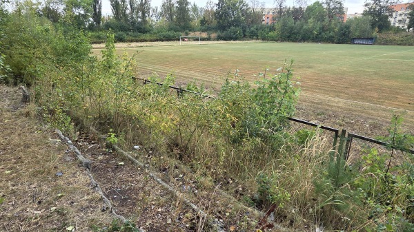 Stadion piłkarski Sośnica - Gliwice