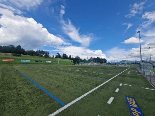 Sportplatz Beichlen Platz 2 - Wädenswil