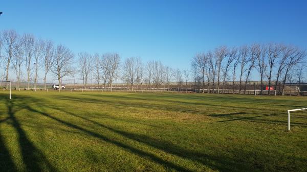 Sportplatz Schönfeld - Artern-Schönfeld