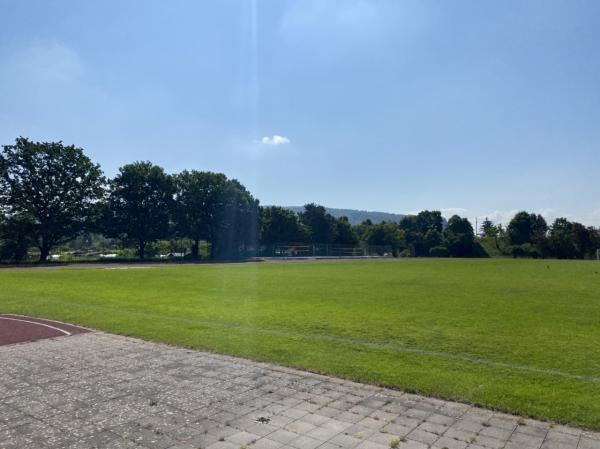 Sportplatz Bäumlihof - Basel