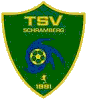 Wappen Türk SV Schramberg 1991