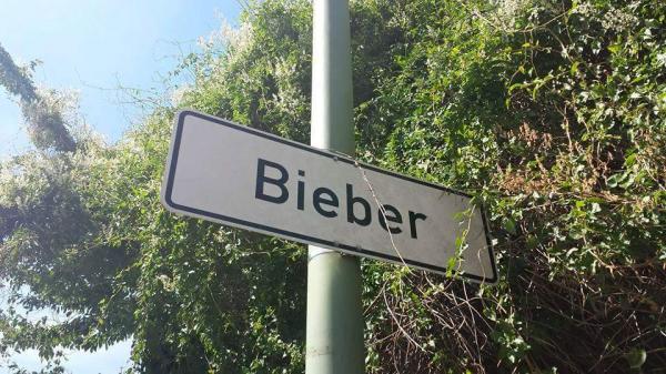 Sportanlage Waldhofstraße - Offenbach/Main-Bieber
