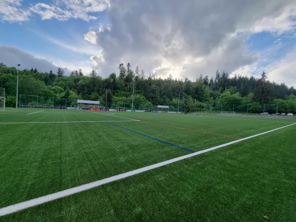 Sportanlage Ühlingen Platz 2 - Ühlingen-Birkendorf