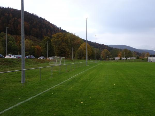 Terrain de la Léchère - Couvet