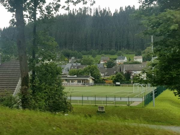 Theo Menke Arena - Winterberg-Niedersfeld