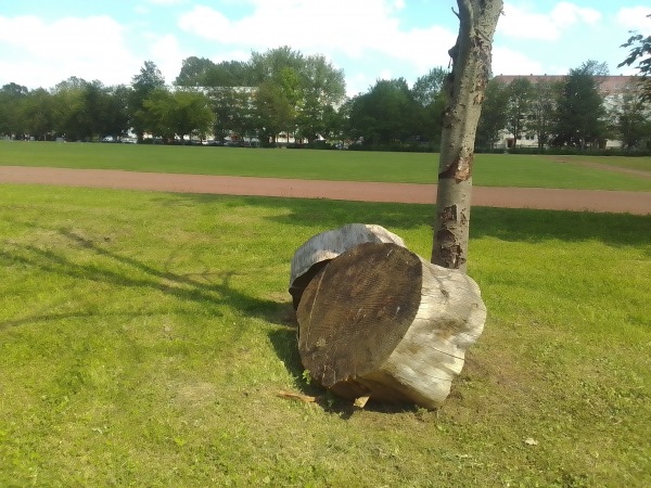 Lothar-Franke-Sportplatz - Chemnitz-Kappel