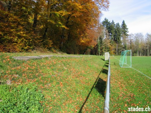 Terrain des Planches - Apples