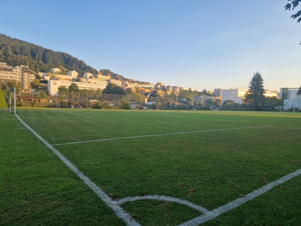 Stadion Lerchenfeld Platz 2 - St. Gallen