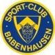 Wappen SC Babenhausen 1967  20318