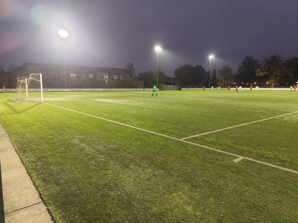 Sportpark De Molendijk veld 6 - Dinkelland-Denekamp