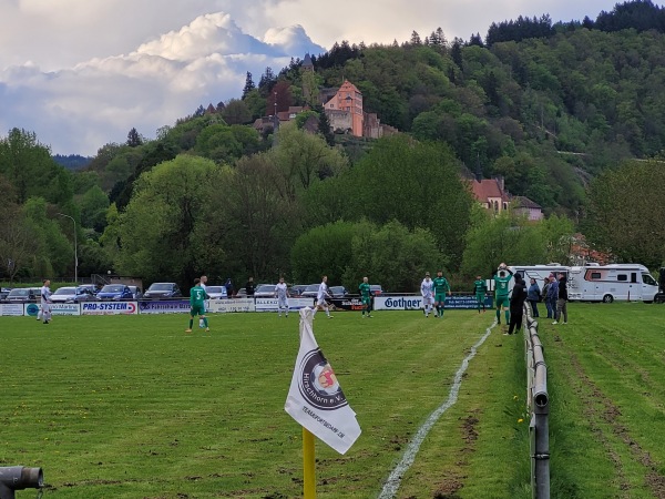 Sportplatz am Neckar - Hirschhorn/Neckar