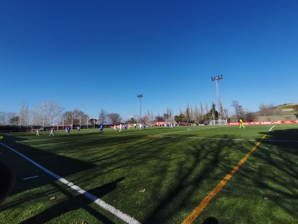 Polideportivo La Dehesa Cobeña - Cobeña, MD