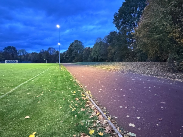 Blau-Weiß-Platz im Sportpark Hildesheim - Hildesheim