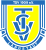 Wappen TSV 1909 Langstadt diverse