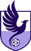 Wappen Birmingham Transplant FC