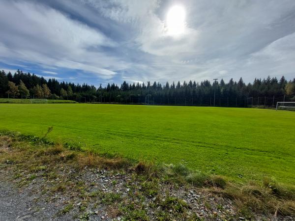 Waldsportplatz 2 - Auerbach/Vogtland-Beerheide