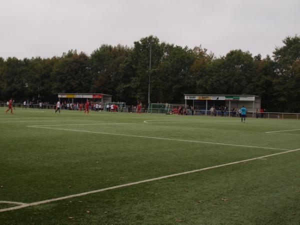 Sportanlage Auf dem Schollbruch - Gelsenkirchen-Horst