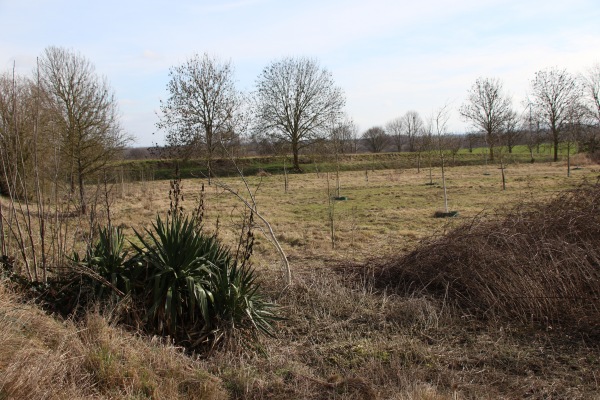 Sportplatz Borr - Erftstadt-Borr