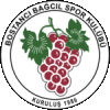 Wappen Bostancı Bağcıl SK