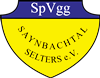 Wappen SpVgg. Saynbachtal Selters 1983  120239