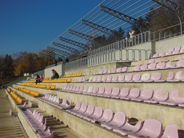 Stadionul CS Olimp - Stăuceni