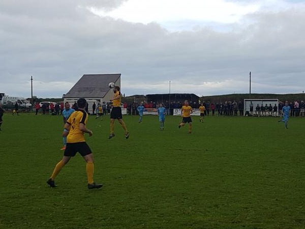 Cae'r Lli - Aberaeron, Ceredigion