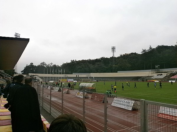 Estádio Municipal do Fontelo - Viseu