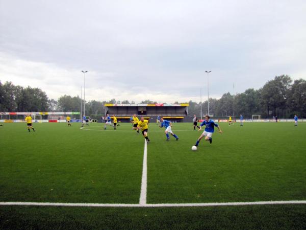 Sportpark Het Wooldrik veld 8-BVV - Borne