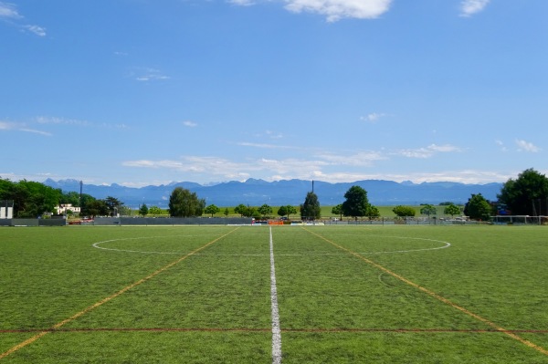 Centre Sportif En Bord terrain C - Gland